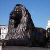 Lion Statue, Trafalgar Square