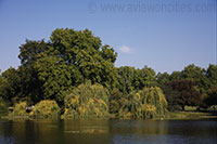 St. James's Park, London