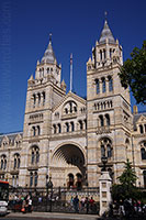 Musée d'Histoire Naturelle, Londres