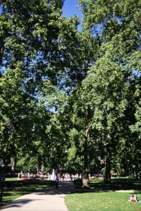 Russell Square, London