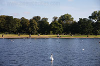Round Pond, Kensington Gardens, London