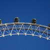 London Eye Capsules