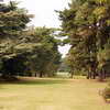 Cedar Vista