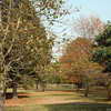 Kew Gardens