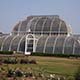 Kew Gardens, london