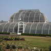 The Palm House in Kew Gardens