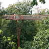 Treetop Walkway, Kew Gardens
