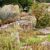 Alpine Garden, Kew Gardens