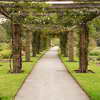 Order Beds, Kew Gardens