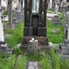 Grave of Eliza Ann