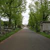 Avenue in Brompton Cemetery