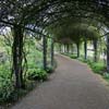 Pergola in the rose garden of Hyde Park