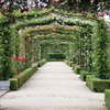 Arbors in the rose garden of the Retiro Park