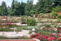 Rosaleda, Parque del Oeste