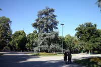 Giardini Pubblici, Milan