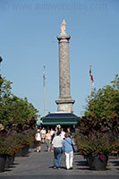 Place Jacques-Cartier, Montreal