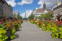 Place Jacques-Cartier, Montreal
