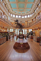 Redpath Museum