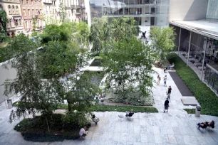 Sculpture Garden, MoMA, New York City