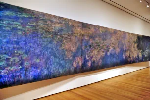 Monet's Water Lilies