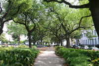 Lafayette Square, New Orleans