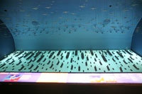 Visual interpretation of the landing in Normandy in the World War II Museum