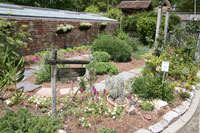 Aromatic Garden, New Orleans Botanical Garden