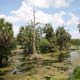 City Park, New Orleans