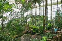 Amazon Rainforest, Audubon Aquarium