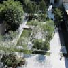 MoMA's sculpture garden