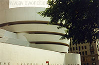 Guggenheim Museum