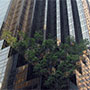 Trump Tower