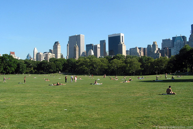 Central Park - sheep meadow