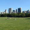Central Park - sheep meadow