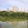 The Lake, Central Park