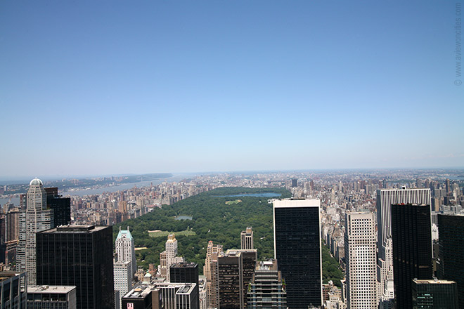 Central Park seen from Rockefeller Center