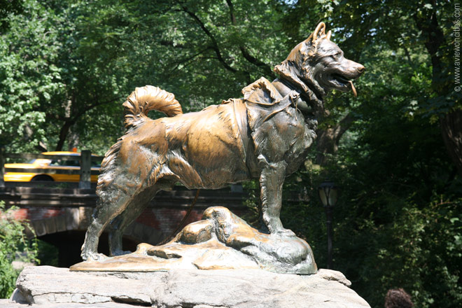 Balto, chien loup, héros des neiges Kveus2803s