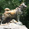 Central Park - Balto Statue