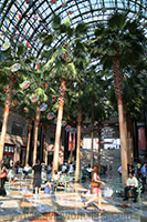 Winter Garden, World Financial Center, Manhattan, New York