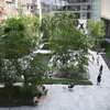 Sculpture Garden, MoMA