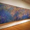 Monet's Waterlilies in the MoMA