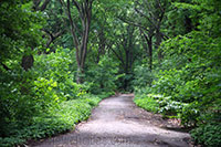 Prospect Park, Brooklyn