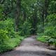 Prospect Park