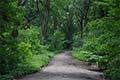 Prospect Park