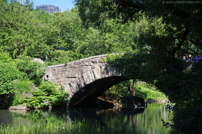 Small bridge in Central park