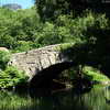 Small bridge in Central park