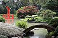 Brooklyn Botanic Garden