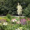 Flowerbed in Carl Schurz Park