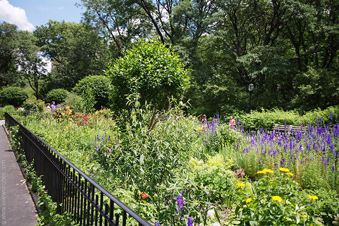 Riverside Park New York Garden