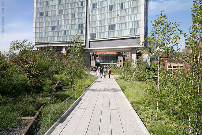 The High Line